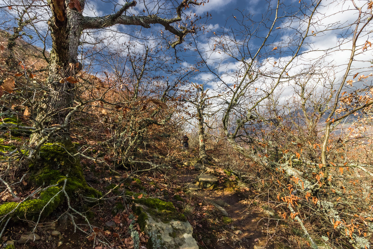 ПРОДОЛЖАЕМ ПОДЪЁМ НА АЮ-ДАГ - Sergey Bagach