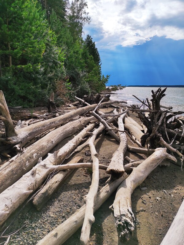 Вечереет - Татьяна Лютаева