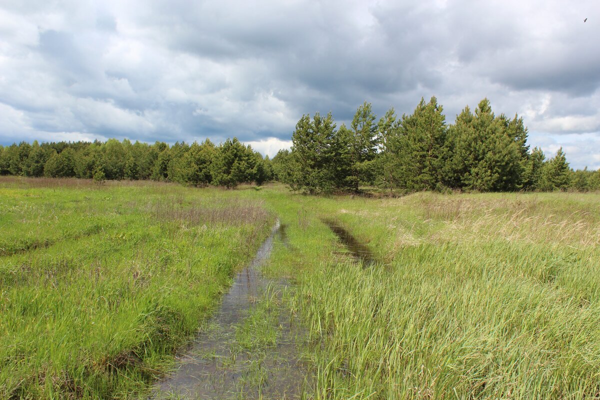 На лугах весной - Григорий охотник