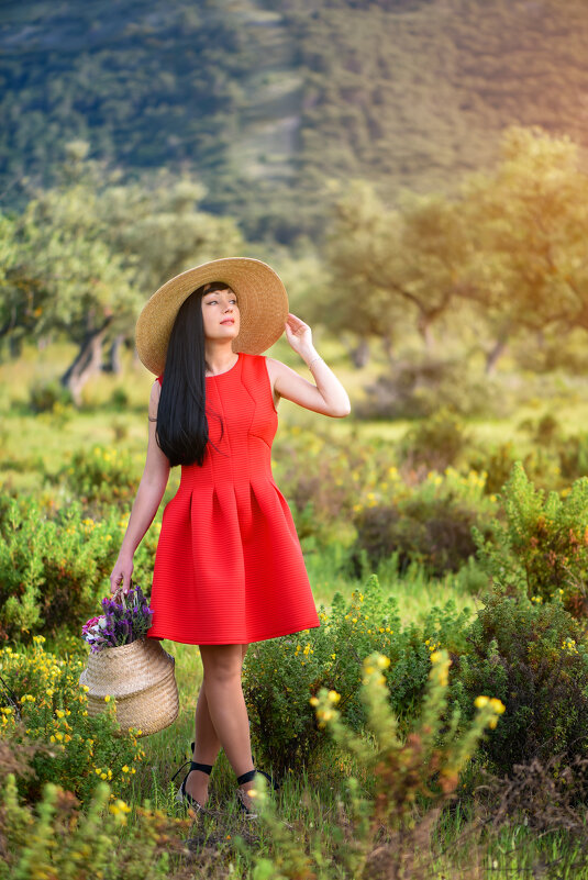 Red dress - Salvador Melendez