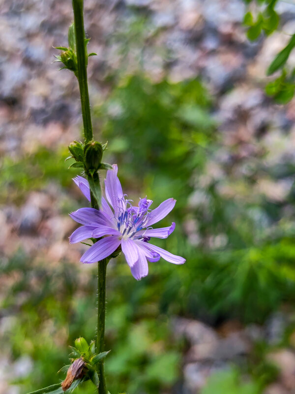 *** - жанна janna