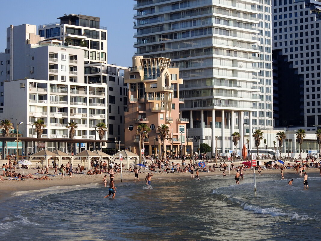 У самого  синего моря  средь волн и закатов дом стоял в окружении гигантов - Гала 