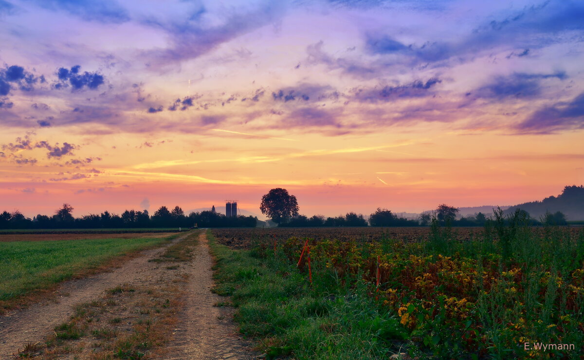 morning - Elena Wymann