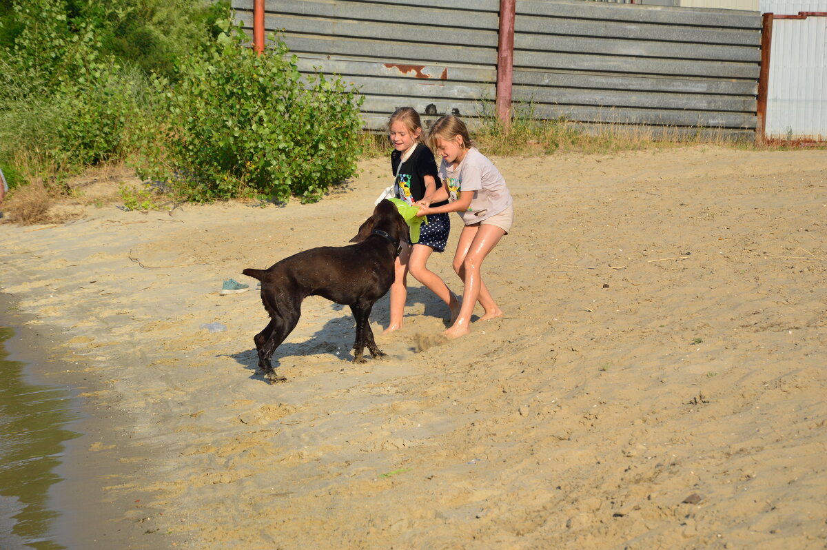 Один в поле воин. - Виктор Один в поле воин. - Виктор