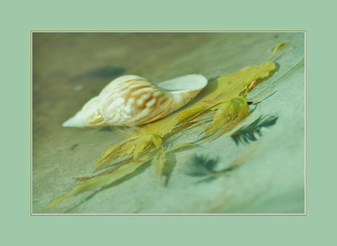 НА ДНЕ... - Elvira E. НА ДНЕ... - Elvira E.