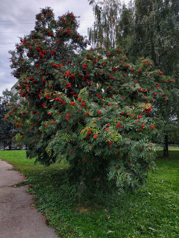 Символы осени - Андрей Лукьянов