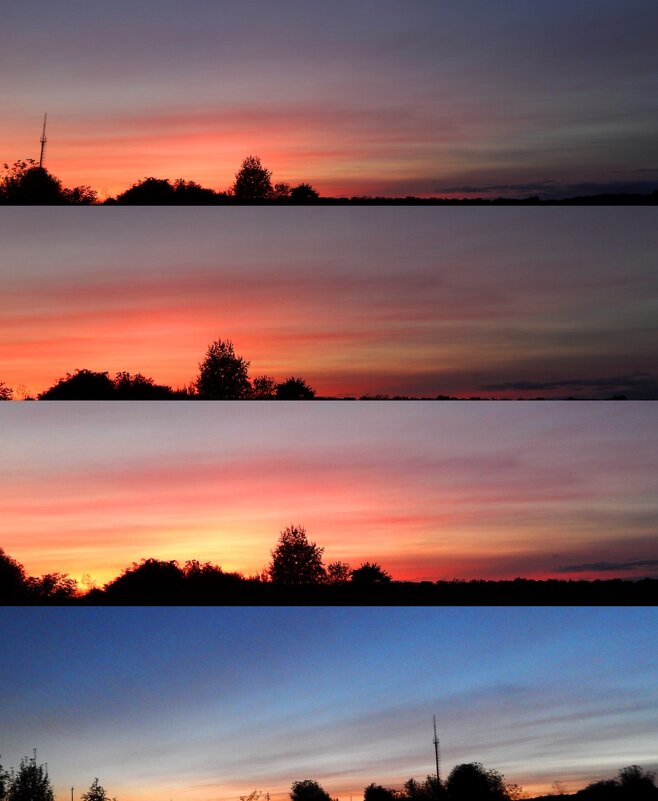 закат - Alisa Koteva 