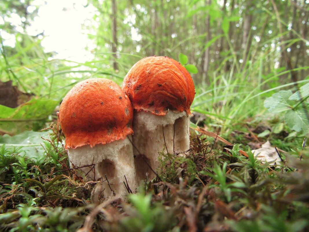 _ - Александр _ - Александр