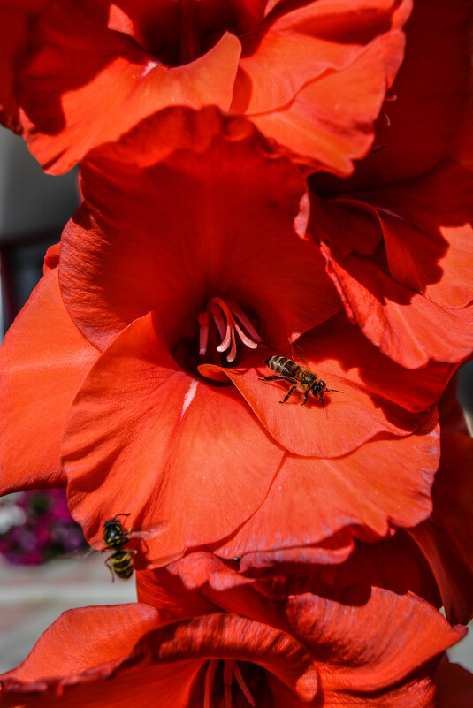 привлекает внимание - сергей привлекает внимание - сергей