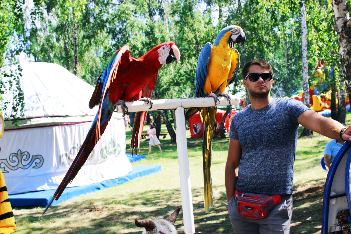 Мои друзья! - раиса Орловская Мои друзья! - раиса Орловская