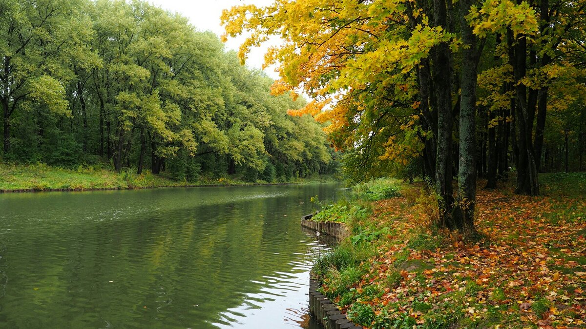 Осенний парк. - Милешкин Владимир Алексеевич Осенний парк. - Милешкин Владимир Алексеевич