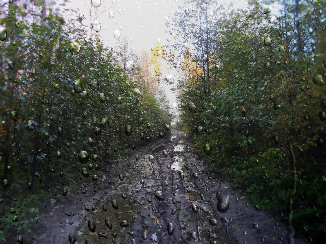 Осенний эскиз - Игорь Чуев