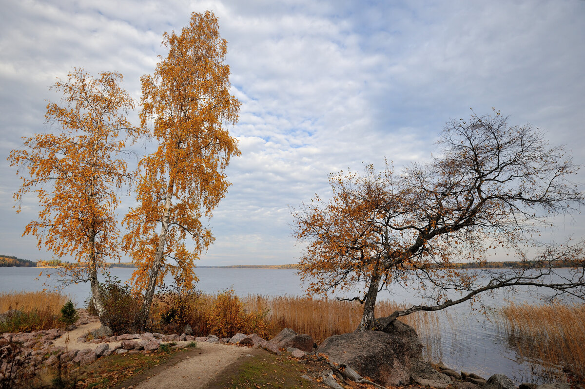 в осеннем парке... #8 - Андрей Вестмит