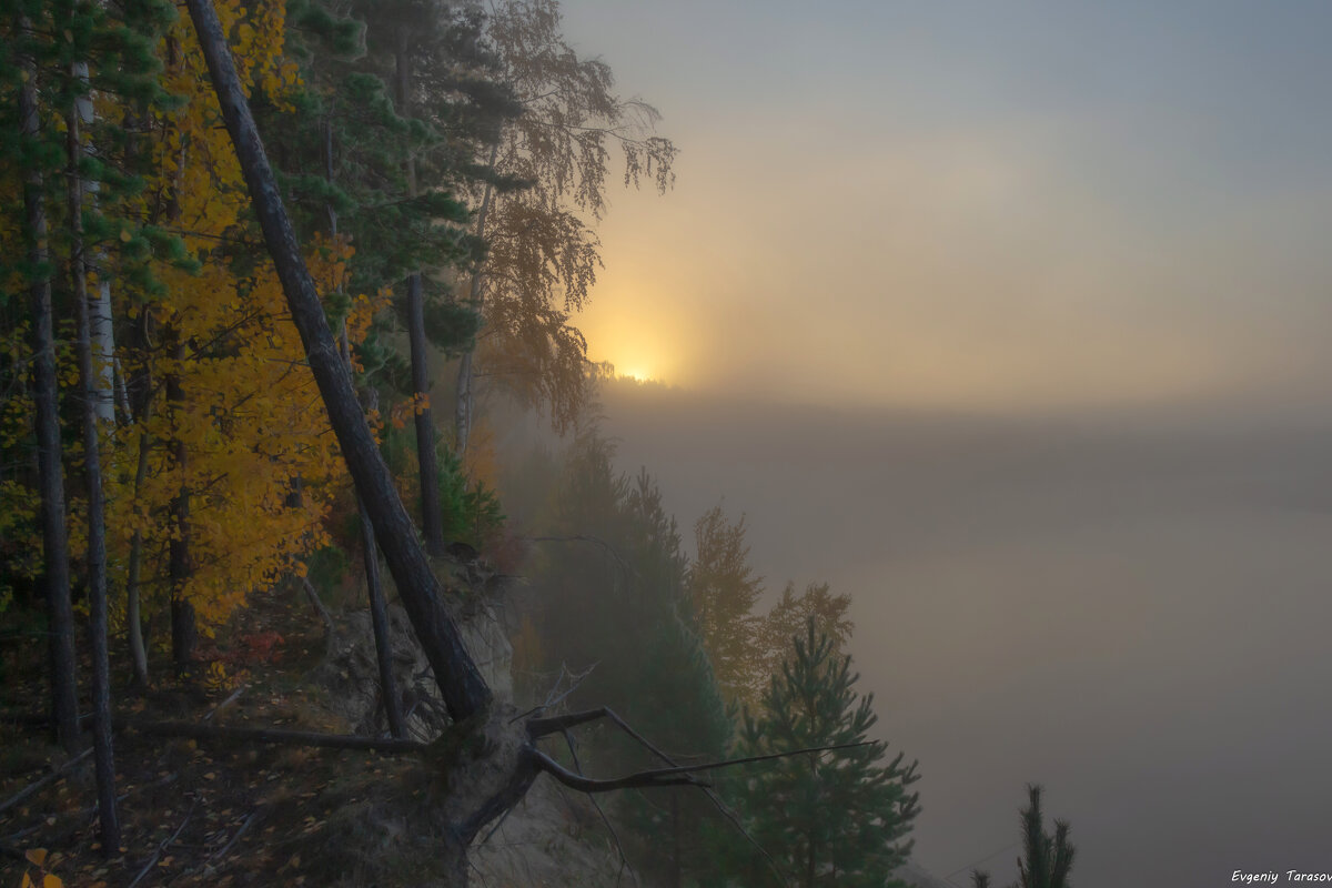 Холодное утро - Евгений Тарасов Холодное утро - Евгений Тарасов