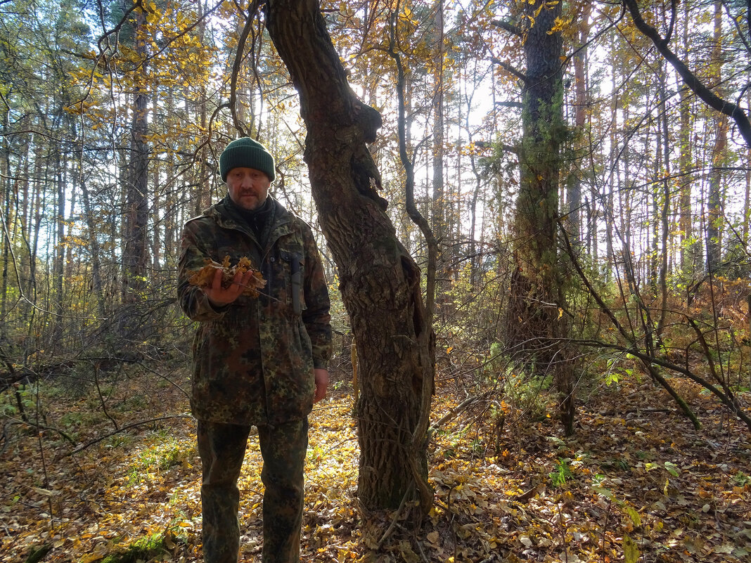 В Объятиях Осени - Денис Бочкарёв В Объятиях Осени - Денис Бочкарёв