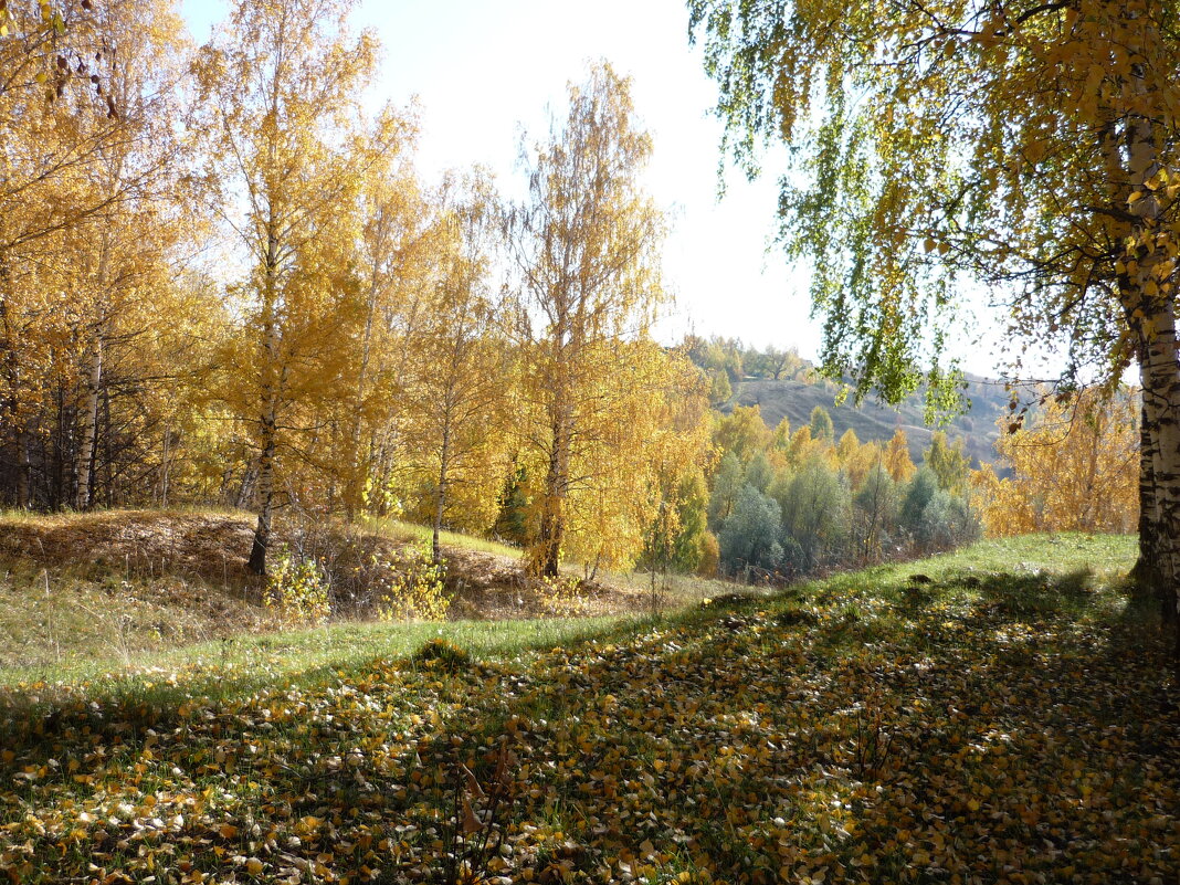 По дороге к заливу - Ольга 