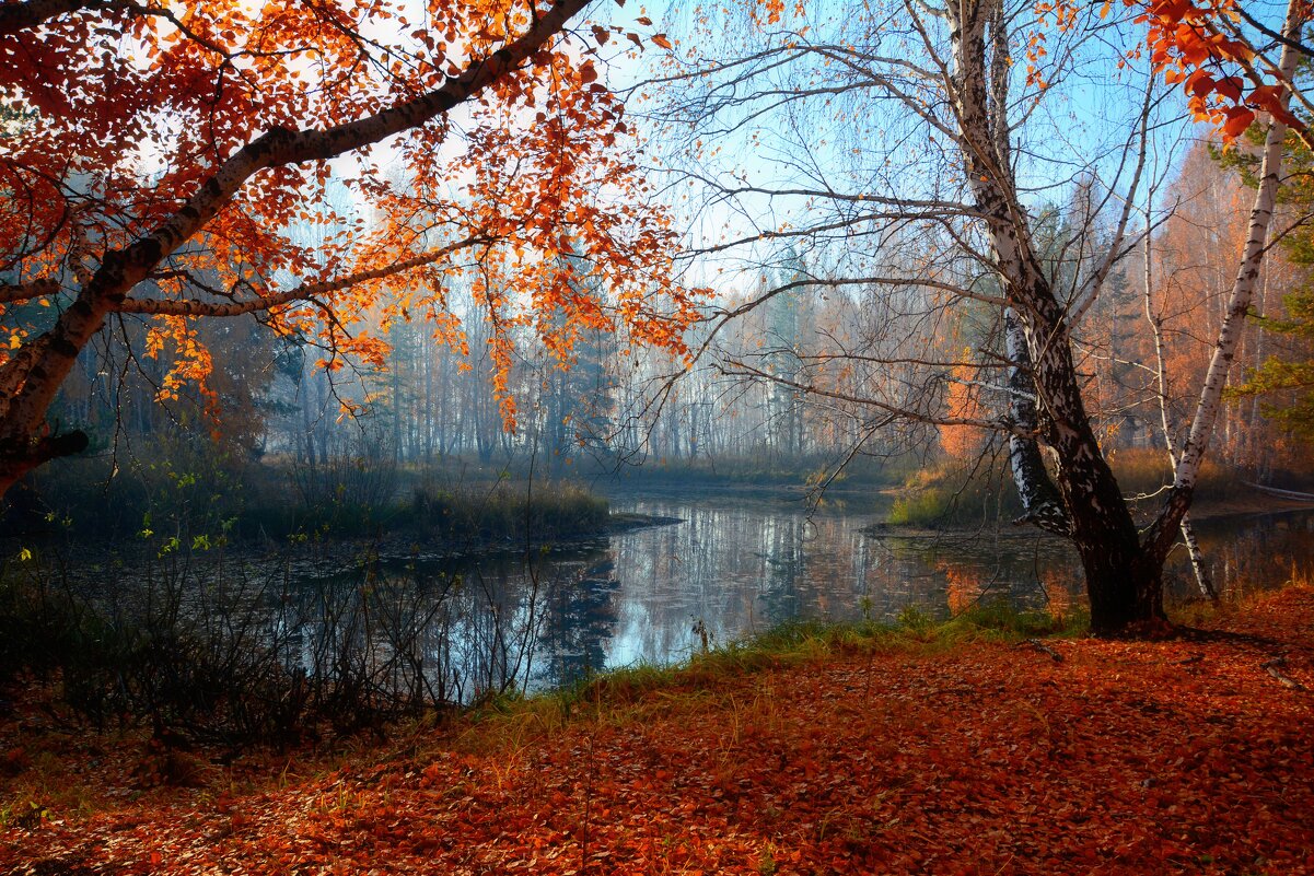 Утро, середина октября - Геннадий Ячменев Утро, середина октября - Геннадий Ячменев