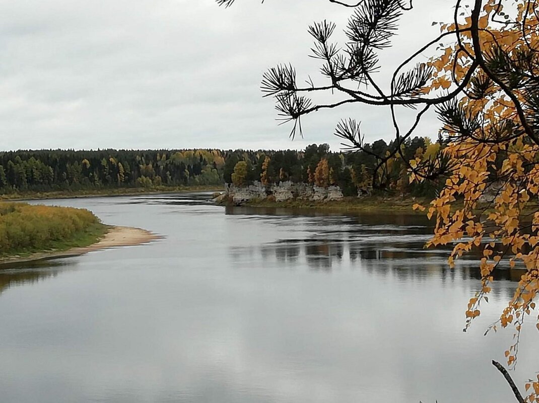 Пинега – река бассейна Белого моря. - ЛЮДМИЛА 