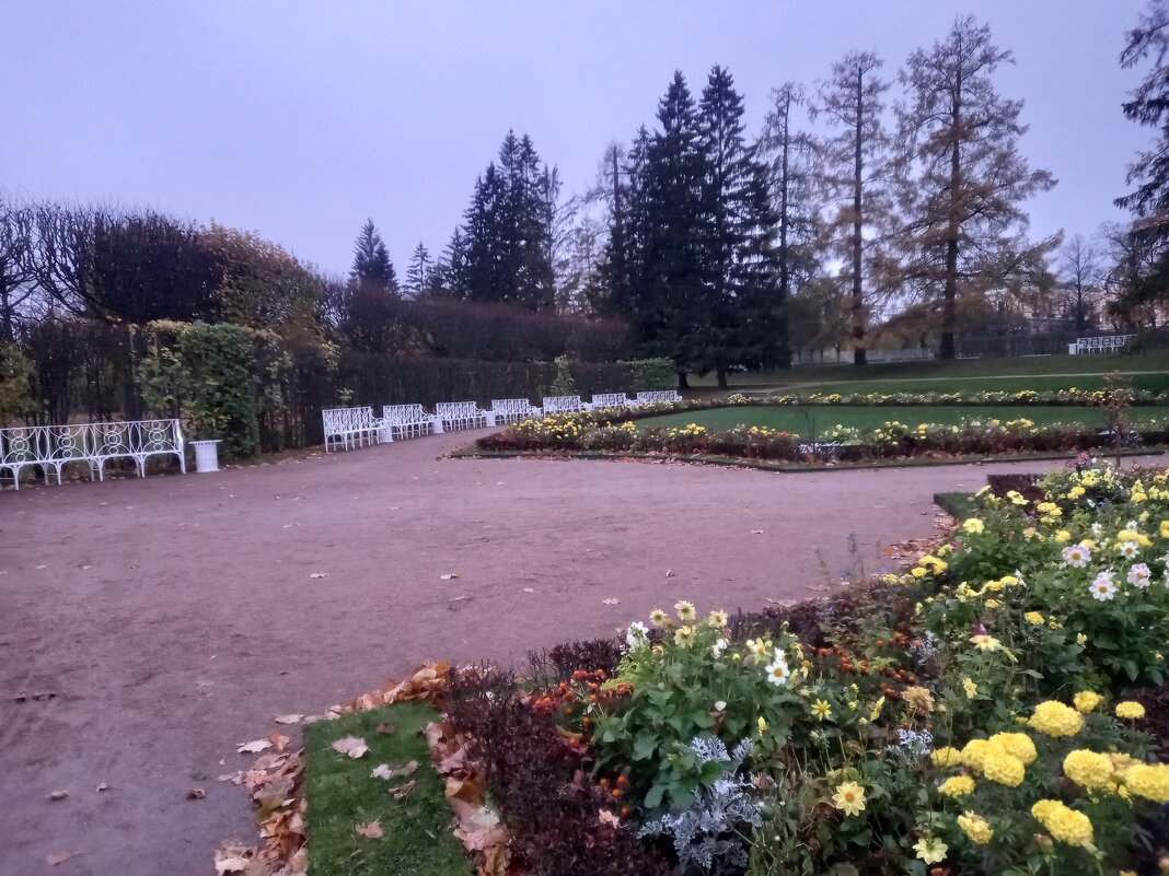 Пасмурное утро - Сапсан 