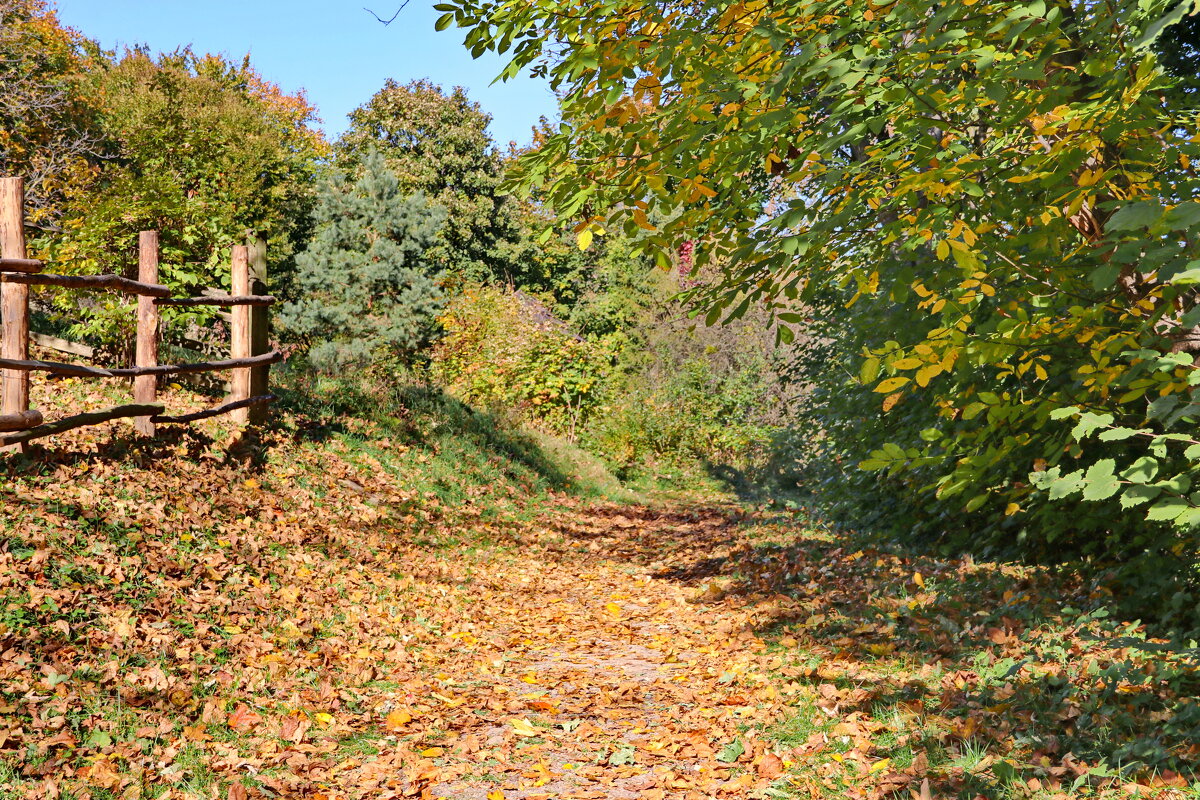 За околицей... - Любовь С.