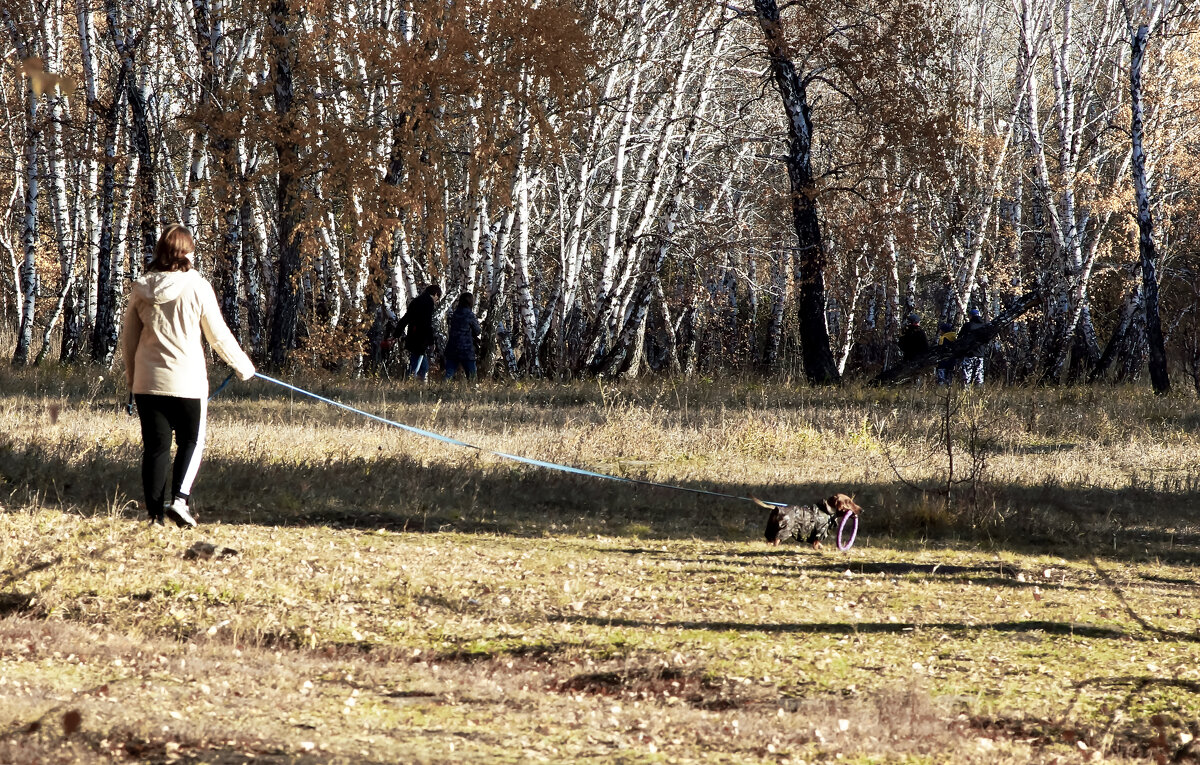 Тоби гуляет - Сергей Царёв Тоби гуляет - Сергей Царёв
