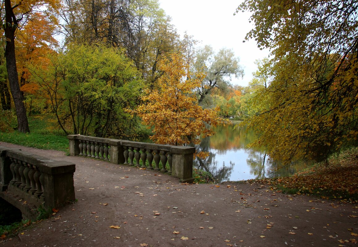 Александровский парк - Наталья Герасимова