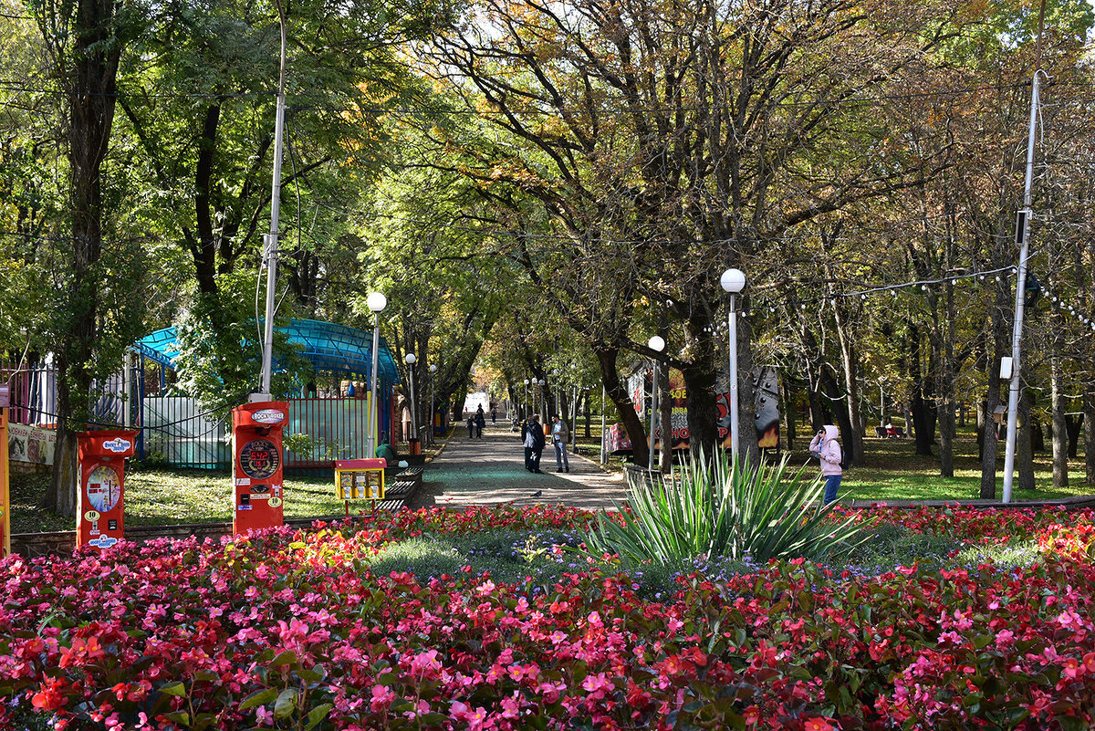 Осень в парке - Александр 