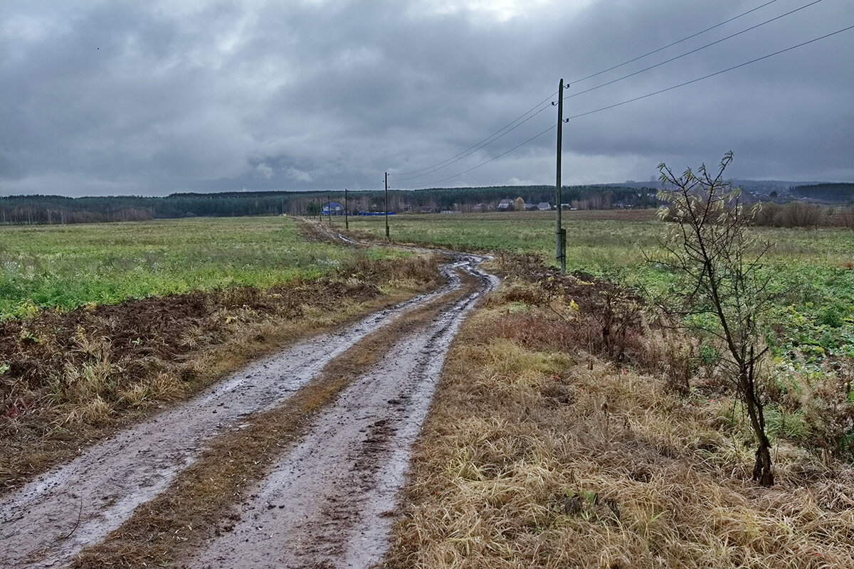 Распутица - Юрий Митенёв Распутица - Юрий Митенёв