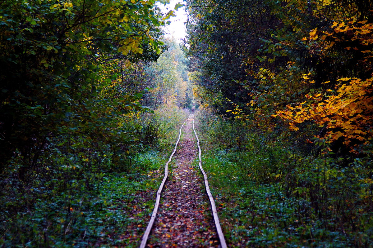 Дорога в осень - M Marikfoto