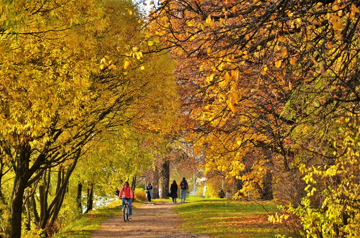 Золотое очарование 2 или пройтись по золотой аллейке... - Sergey Gordoff Золотое очарование 2 или пройтись по золотой аллейке... - Sergey Gordoff