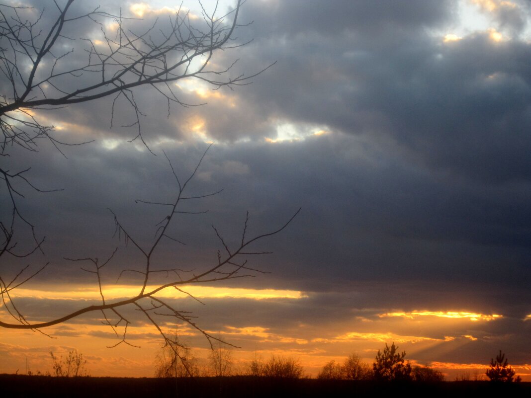 На закате - Елена Семигина На закате - Елена Семигина