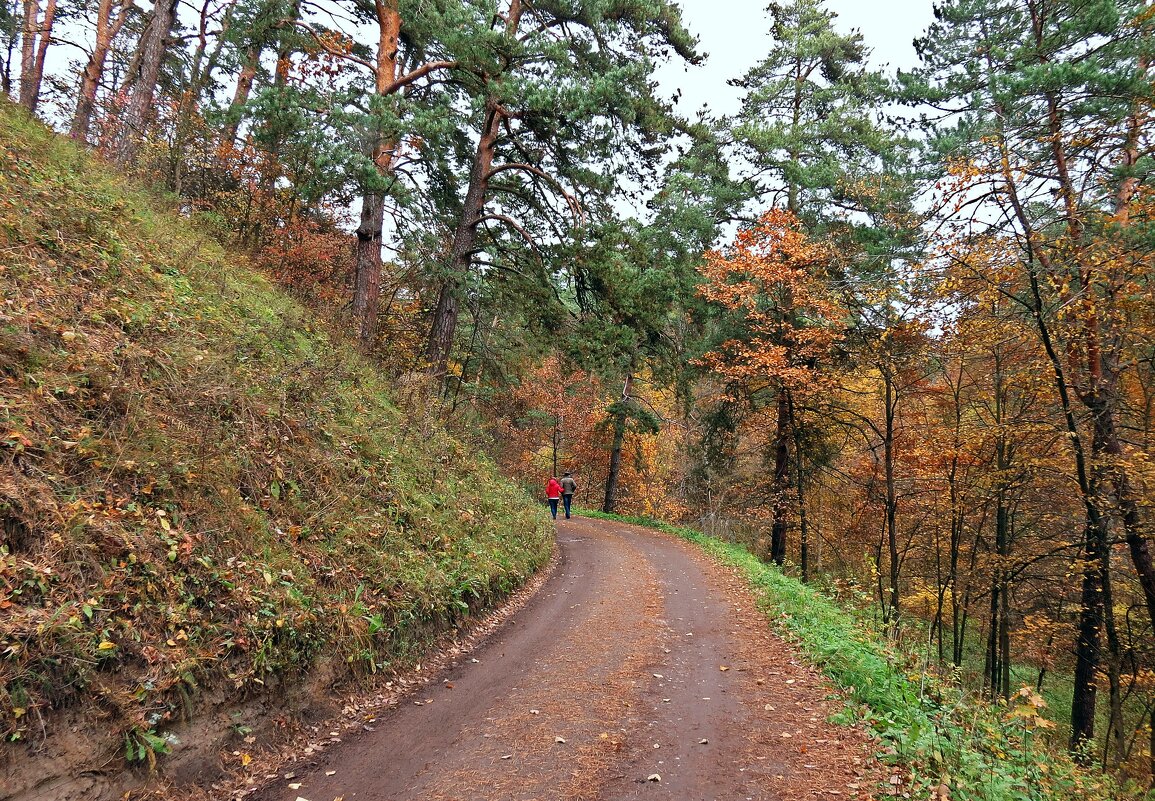 Звенигород - Евгений Кочуров