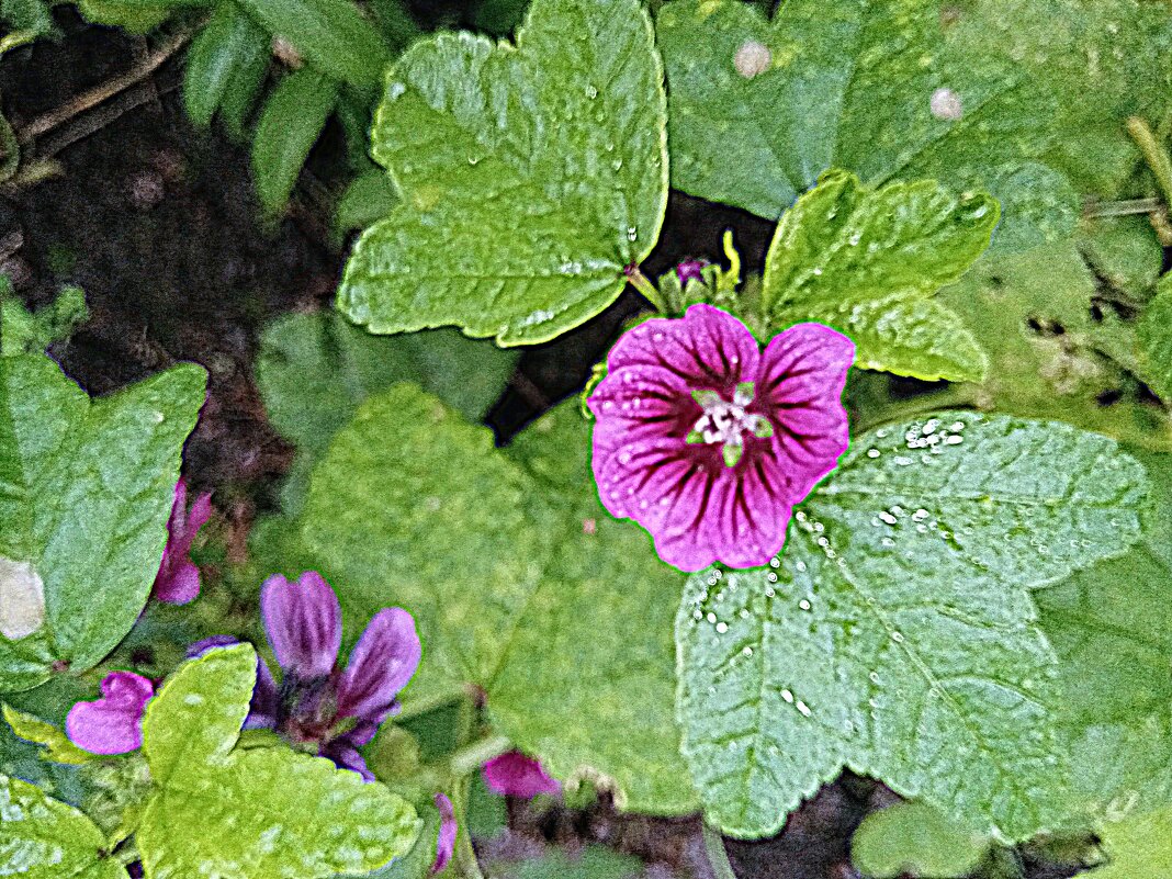 Осенние, последние... - Владимир Драгунский Осенние, последние... - Владимир Драгунский