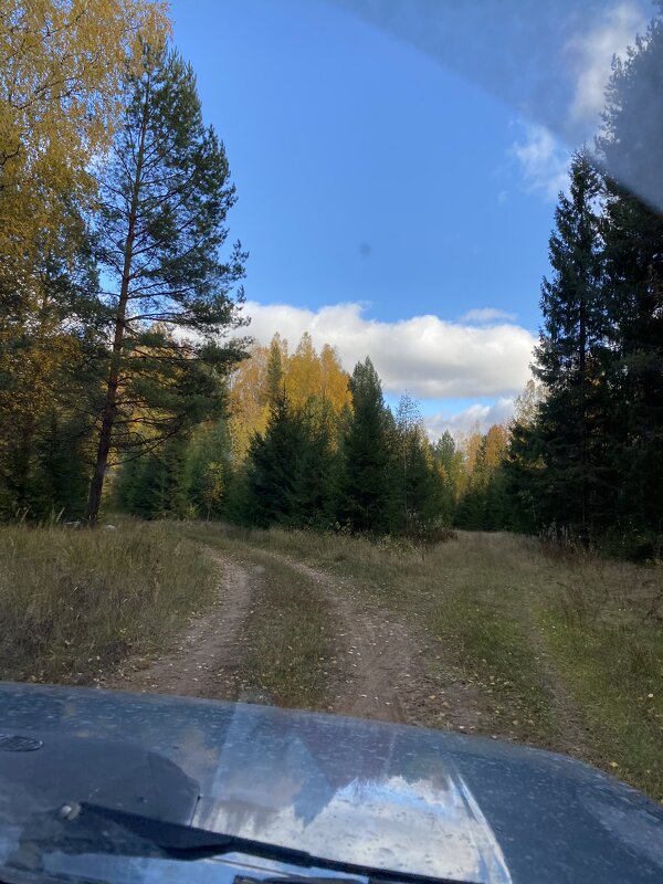 Ноябрь 2021 Буренка - Раиса Ноябрь 2021 Буренка - Раиса