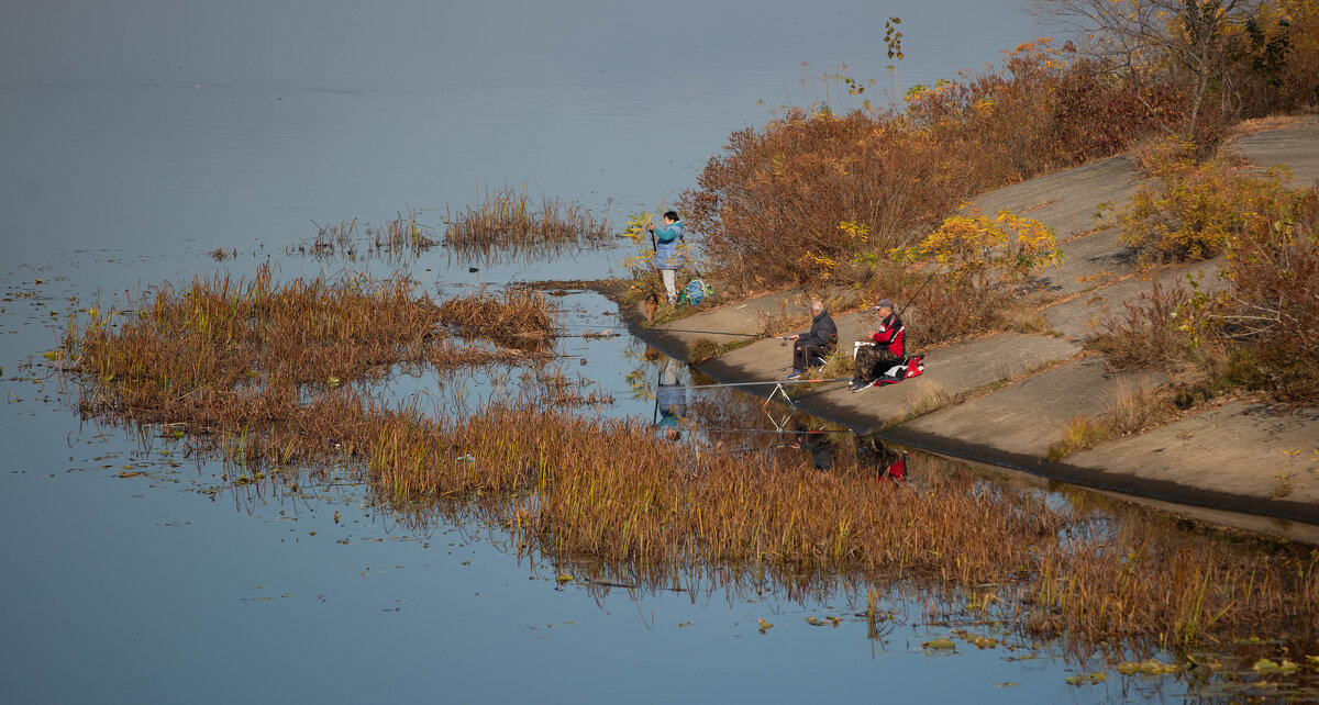 Погожий ноябрьский денек - Олег Погожий ноябрьский денек - Олег