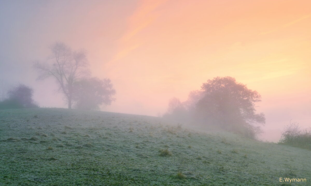 misty morning - Elena Wymann