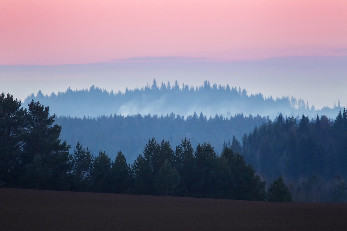 Ноябрь - Вячеслав Ложкин Ноябрь - Вячеслав Ложкин