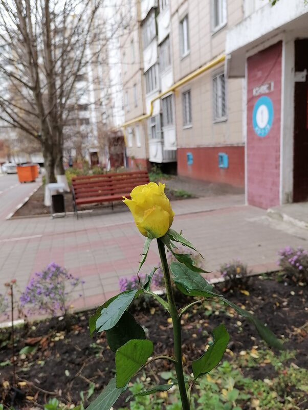 Последняя... - Сергей Тимоновский