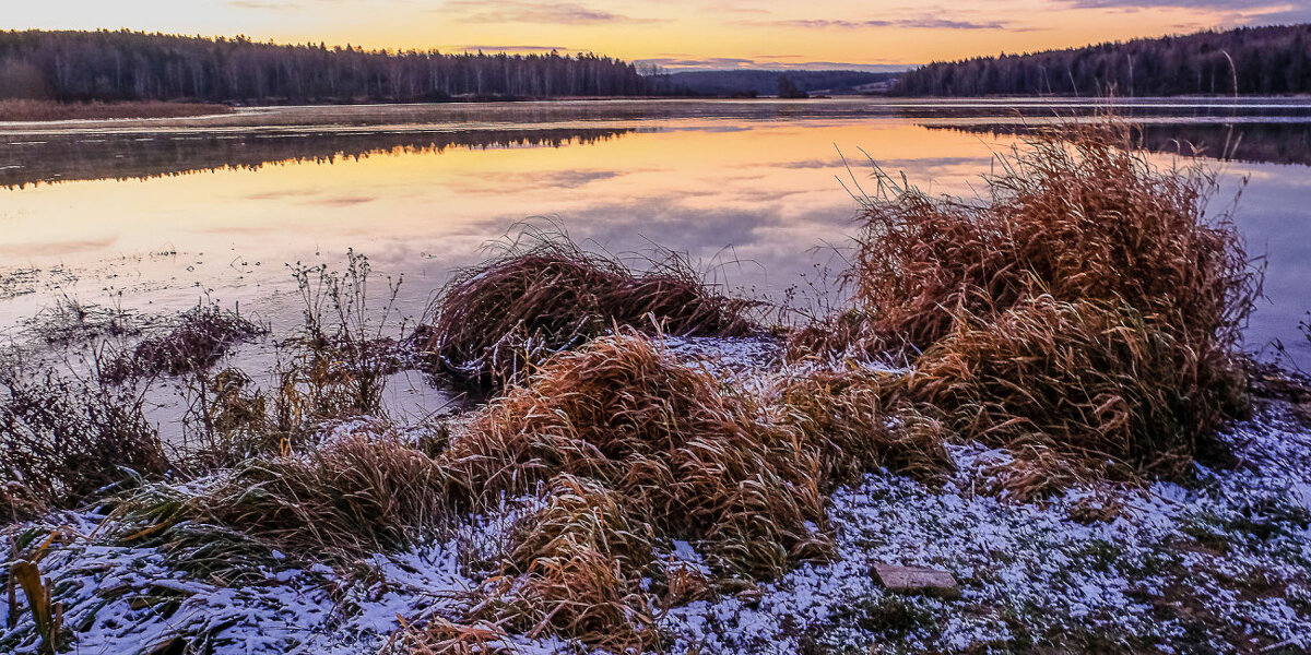 утренняя прогулка - Георгий А