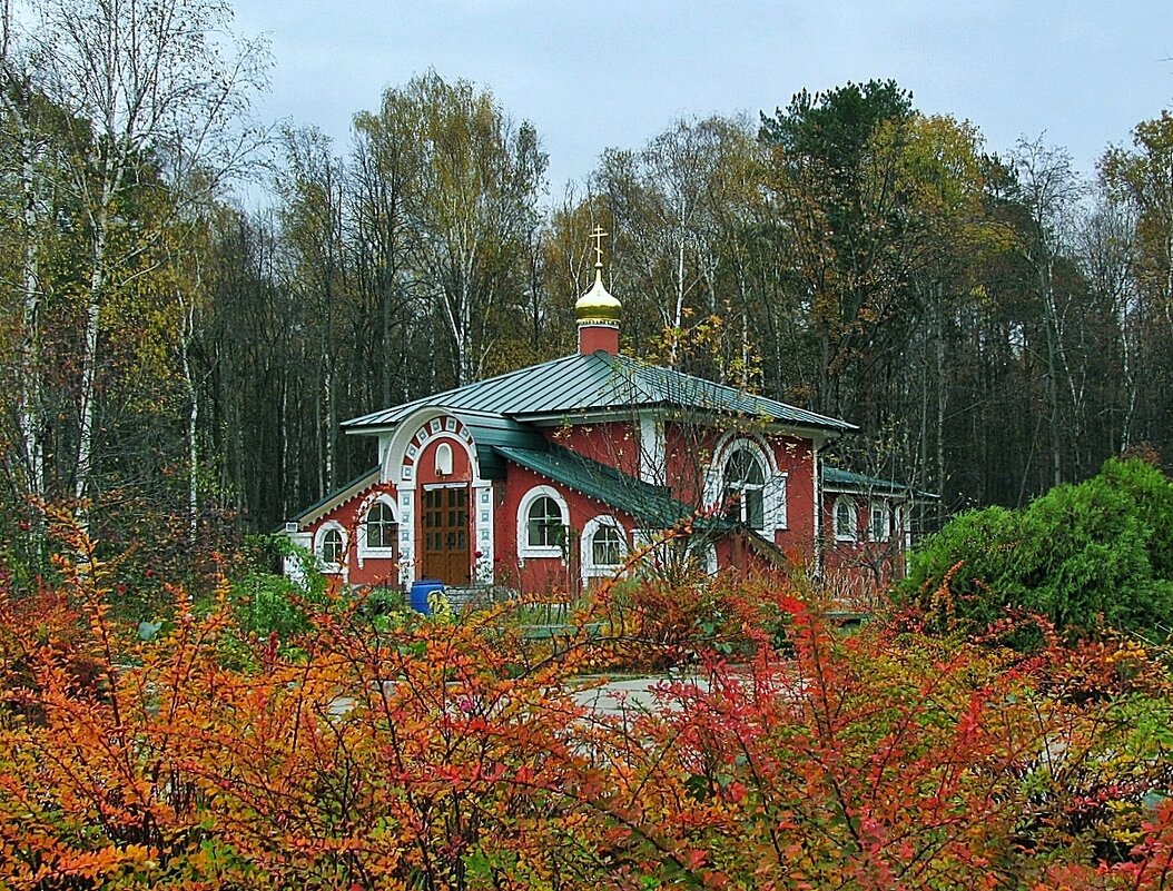 Протвино - Евгений Кочуров