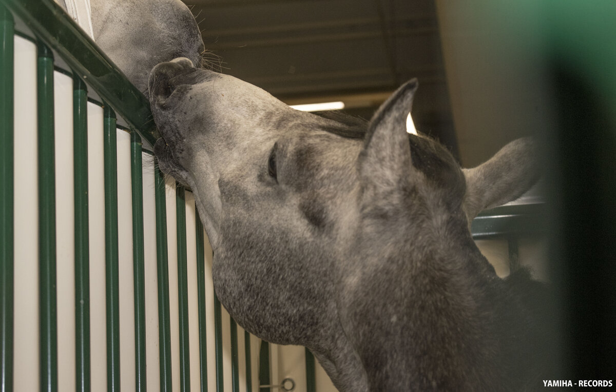 Любовь - Михаил Тищенко Любовь - Михаил Тищенко