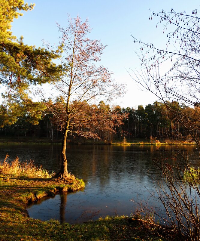 У замерзающего озера - Андрей Снегерёв У замерзающего озера - Андрей Снегерёв