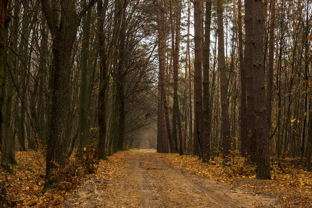 .. - оксана .. - оксана