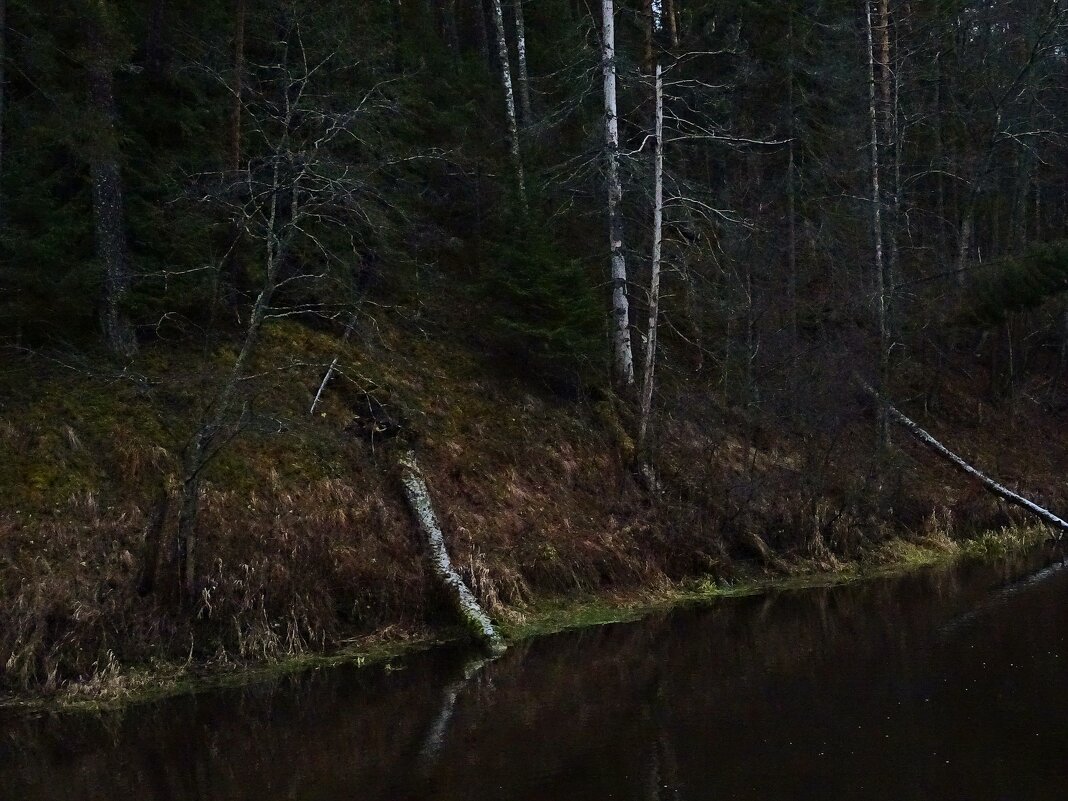 Лукоморье - Денис Бочкарёв