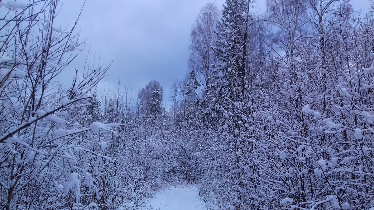 первый снег - Владимир 