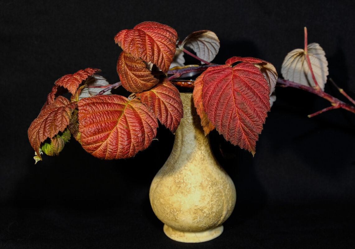 * - Вадим * - Вадим