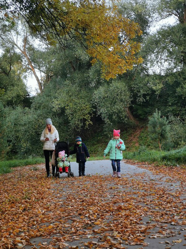 Моя любимая #Нерехта. По аллеям осеннего парка - Наталья Шабалина Моя любимая #Нерехта. По аллеям осеннего парка - Наталья Шабалина