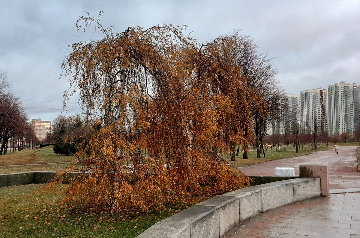 Ноябрь - Наталья Герасимова