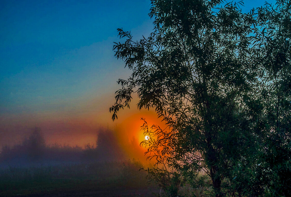 Туманный рассвет. - Сергей Пушкин