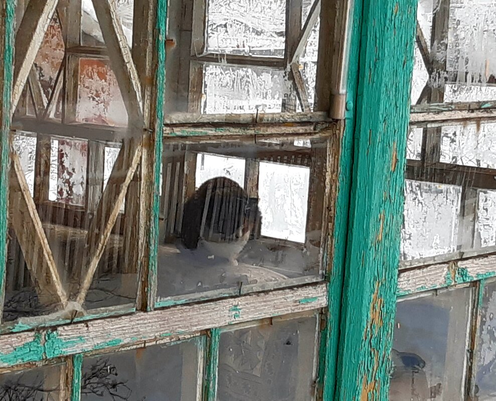 Лиза, декабрь, синица-2 - Екатерина К. Лиза, декабрь, синица-2 - Екатерина К.